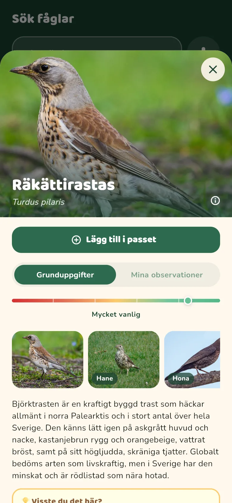 Skärmbild från appen: Spara din observation